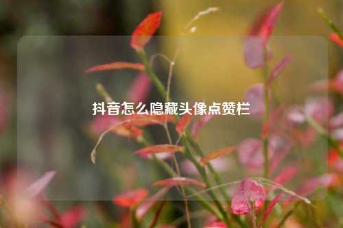 抖音怎么隐藏头像点赞栏