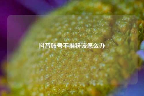 抖音账号不推粉该怎么办