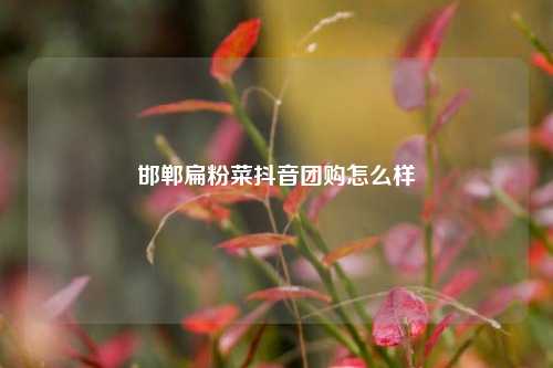 邯郸扁粉菜抖音团购怎么样