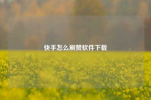 快手怎么刷赞软件下载