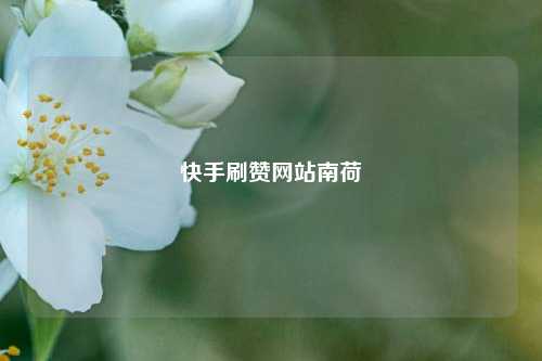 快手刷赞网站南荷