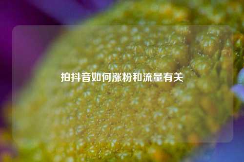 拍抖音如何涨粉和流量有关