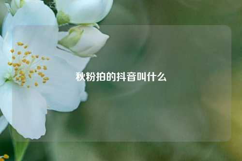 秋粉拍的抖音叫什么