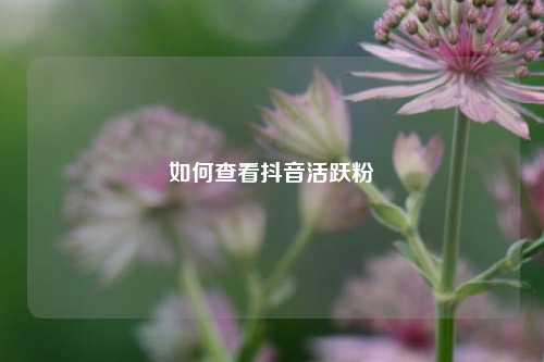如何查看抖音活跃粉