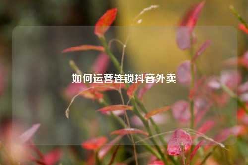 如何运营连锁抖音外卖