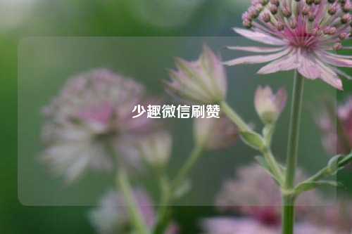 少趣微信刷赞