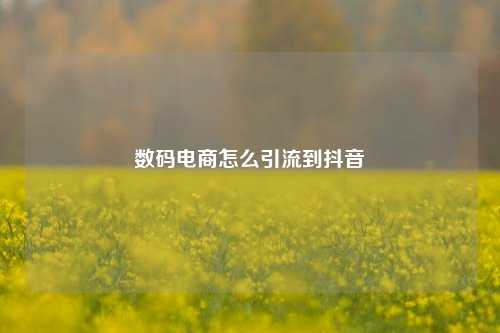 数码电商怎么引流到抖音