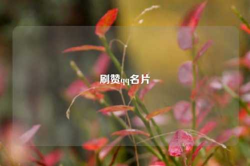刷赞qq名片